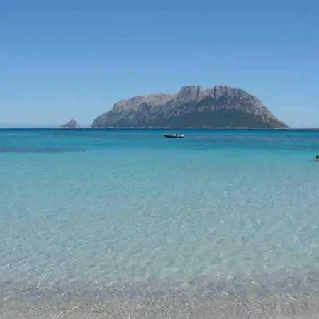 The Ruins - Loft With Panoramic Terrace * Olbia